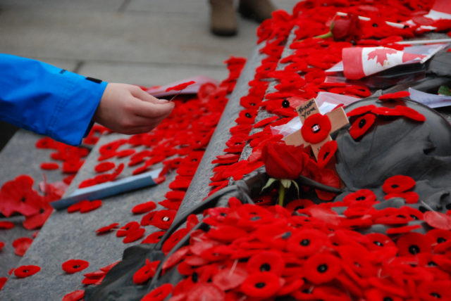 Remembrance Day ceremonies at the Tomb of the Unknown Soldier in Ottawa, Canada